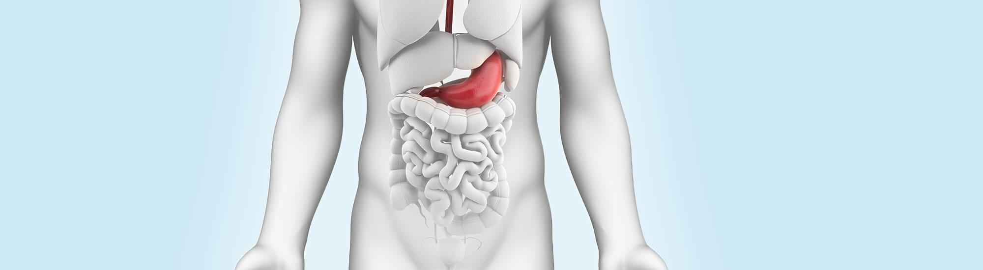 Magenspiegelung (Oesophago-Gastro-Duodenoskopie)